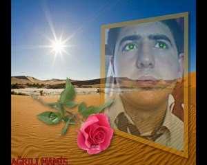 video arka plan değiştirme programı