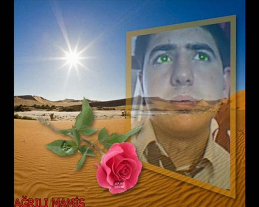 video arka plan değiştirme programı