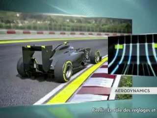 F1 - Pirelli : Le rôle des réglages et du pilote
