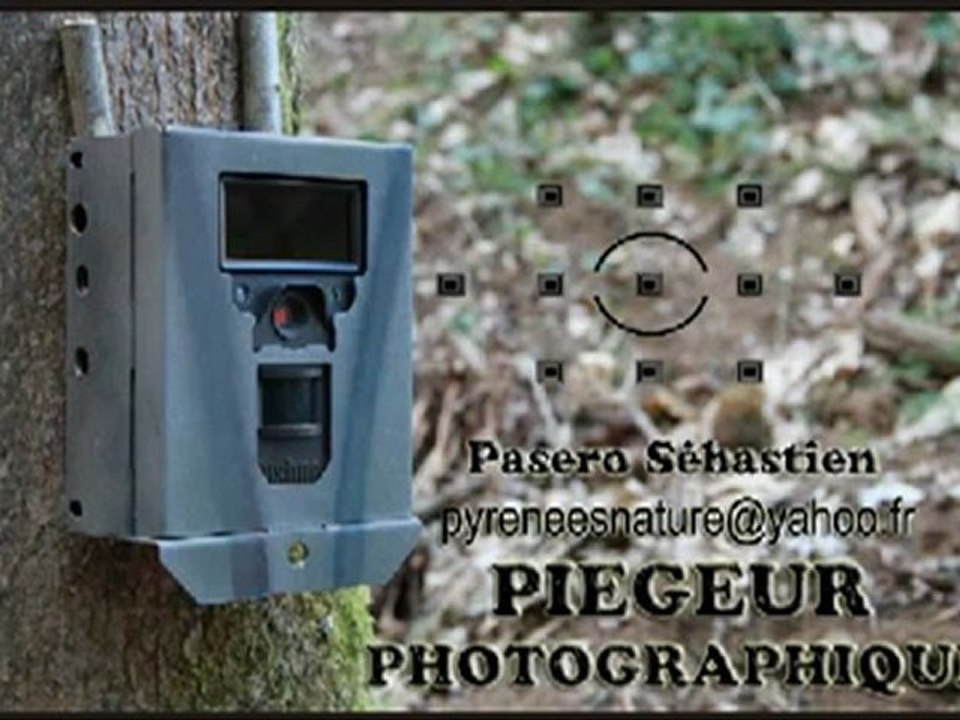 José Bové (eurodéputés Europe Écologie) demande aux éleveurs de tuer le loup et ne rien dire