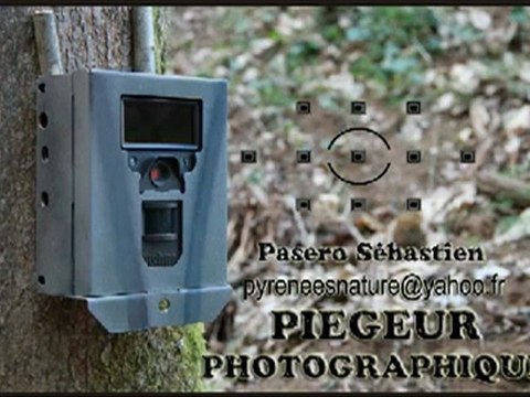 José Bové (eurodéputés Europe Écologie) demande aux éleveurs de tuer le loup et ne rien dire