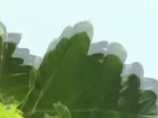 Syria فري برس  حمص الطيران العامودي يقصف القصير  1 8 2012 Homs
