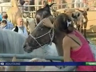 Garris (64) : foire annuelle aux chevaux