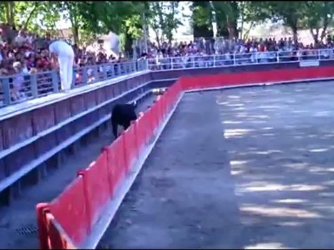 tau neuf à vergèze manade blatieres-bessac et manade saumade bandido manade mermoux.la vistrenque et martini le 29 juillet 2012