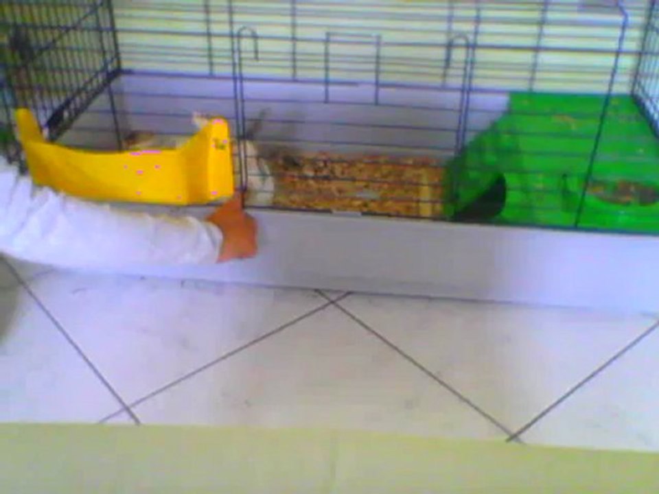 PETIT