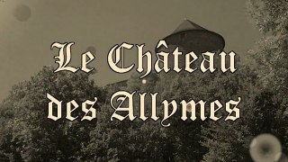 Château des Allymes (Découverte)