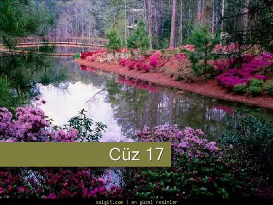 Cüz17