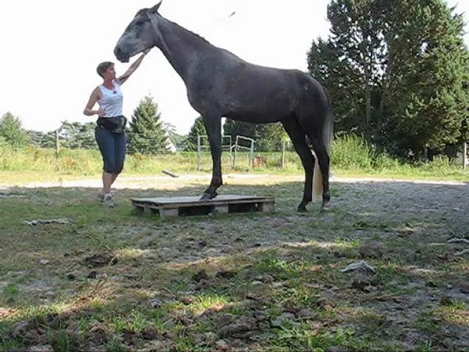 demi tour autour des ant (palette) + aspi 07.12