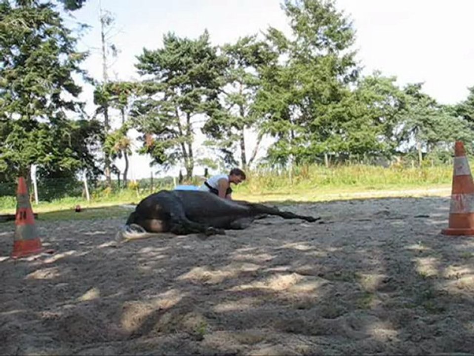 couché allongé assis en ebauche 07.12