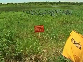 U.S.starts Agent Orange cleanup