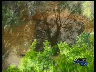 Telegiornale AgrigentoTV 09-08-2012