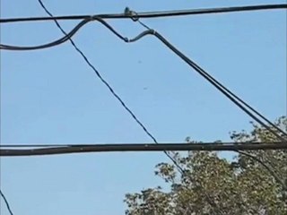 u.f.o. and e.t. activity 2012: part 12 - 1st jan to 5th may (18 minutes)