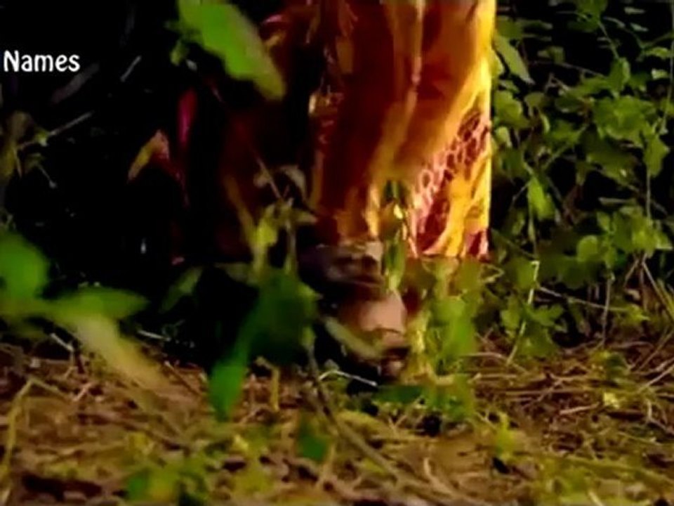 Lilit  - Qez em spasum / Լիլիթ - քեզ եմ սպասում