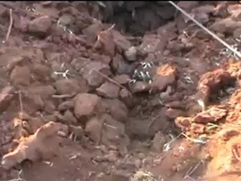 Syria فري برس درعا أم ولدام النشامى تضرر مسجد الحسين جراء القصف 1 8 2012 ج3 Daraa