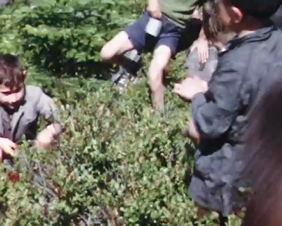 Ventron  souvenirs d'école : brimbelles, ski, saut des cuves