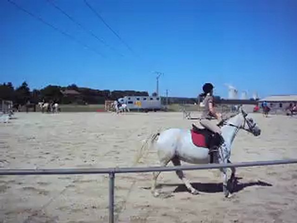 Cours de saut d'obstacle avec Ninja Du Bruch 1