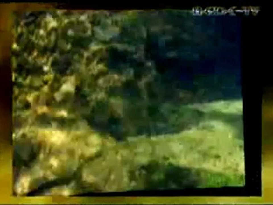 Diving Brasil Amazonas Ollho Dagua - posted by Christian Langos Engineering GmbH