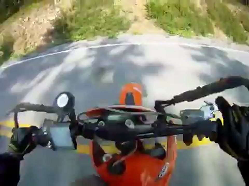 Un motard percute une biche