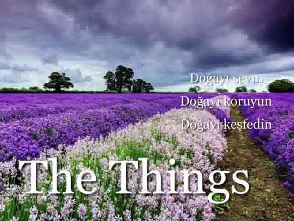 The Things-TS