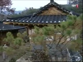 TCR 2 A WWWOLAYWEBCOM