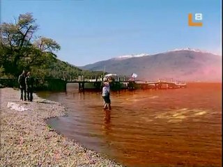 AP capi 138 (ULtimo Capitulo)