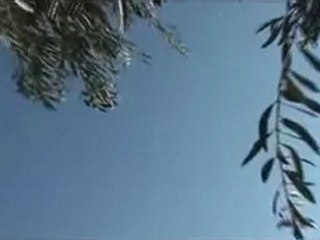 Syria فري برس  حلب حريتان  قصف بالطيران الحربي ميغ 1 8 2012 Aleppo