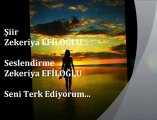 Zekeriya Efiloğlu  - Seni Terk Ediyorum