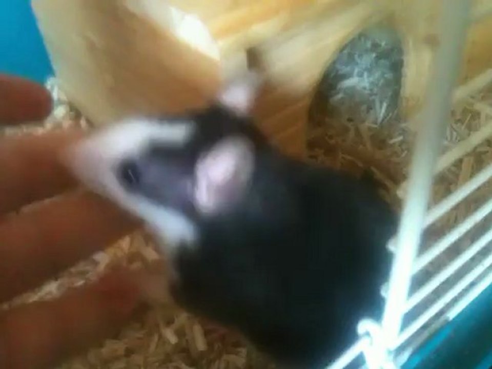 moment jeux avec Jacot