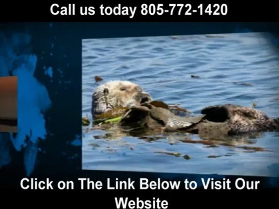 Morro Bay Restaurant (805) 772-1420 "restaurants morro bay"