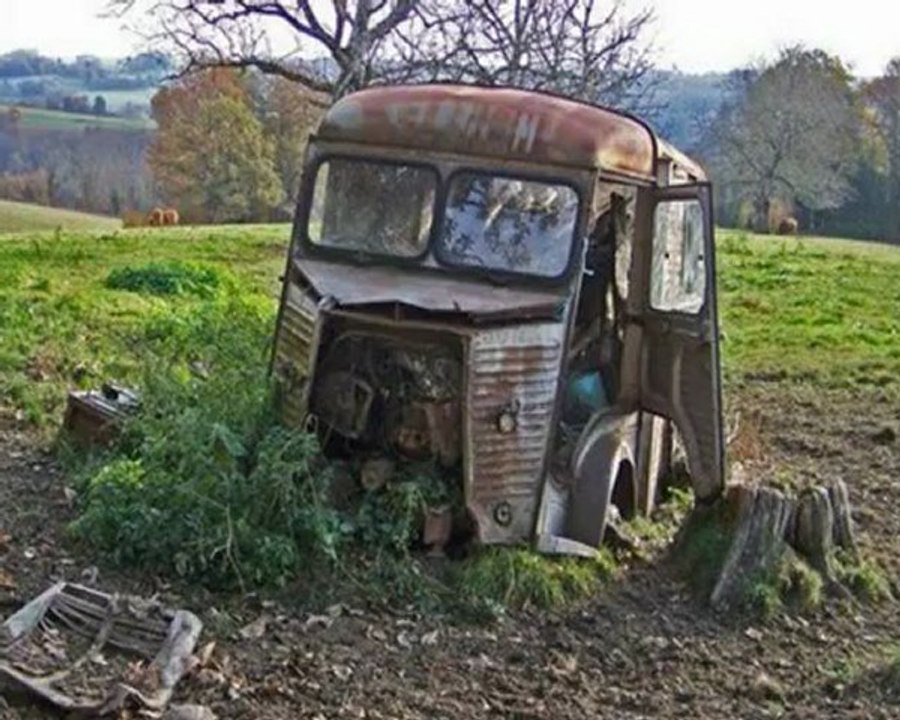 An Art âne randonnées Haut Rhin