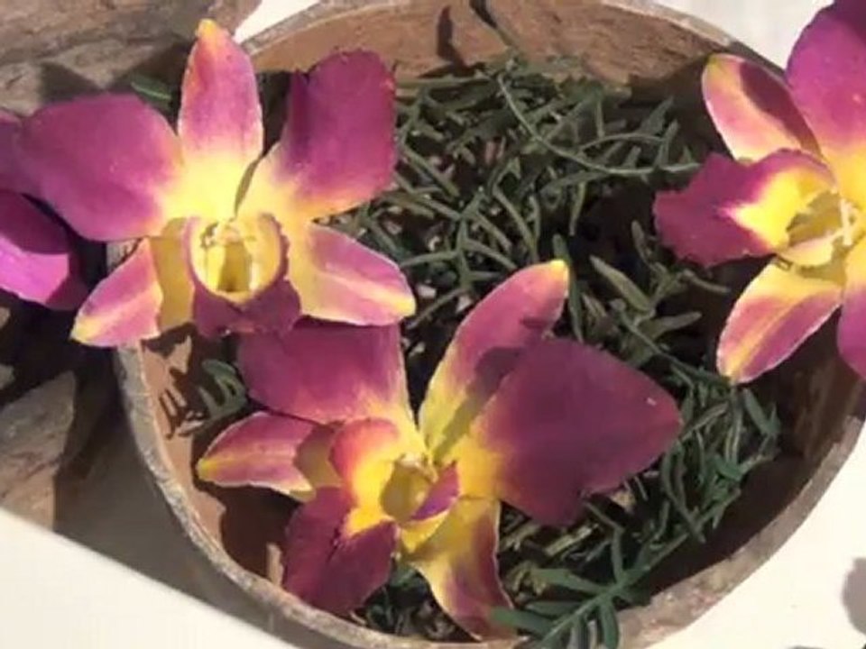 HOJA PLATA LA JOYERIA NATURALISTA -MERCADO DE FUENCARRAL