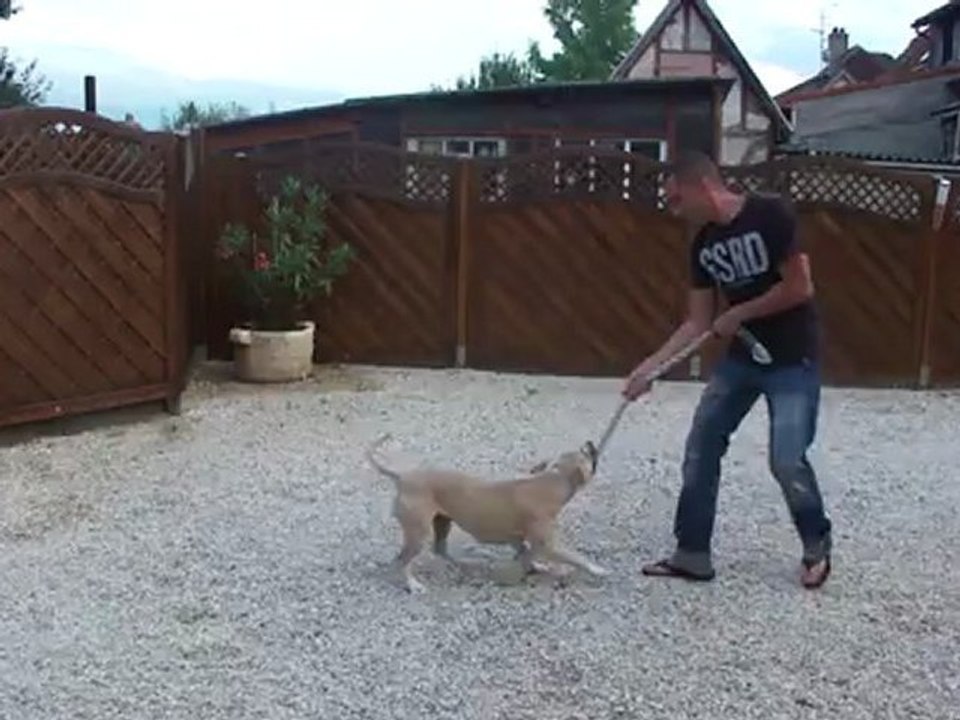 Elya jeu corde