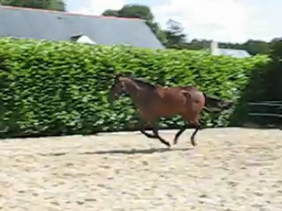 Valse 3