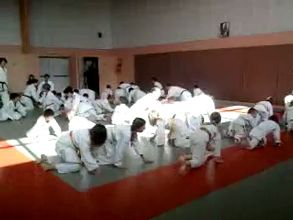 judo (ceinture jaune) 2012 (1)