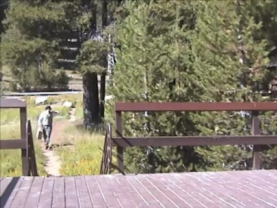 Living History in Sequoia National Park