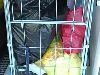 ecocentro mobile una iniziativa che piace