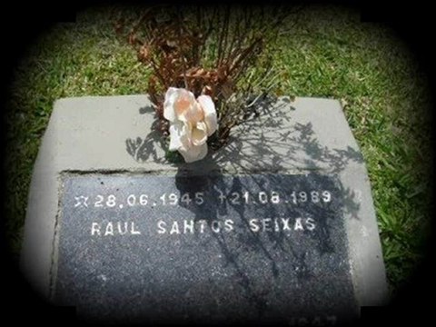 RAUL SEIXA PASSA LETRA EM SONHO PRA MIM - VOU GOSTAR DE VOCÊ VICENTE TELLES E