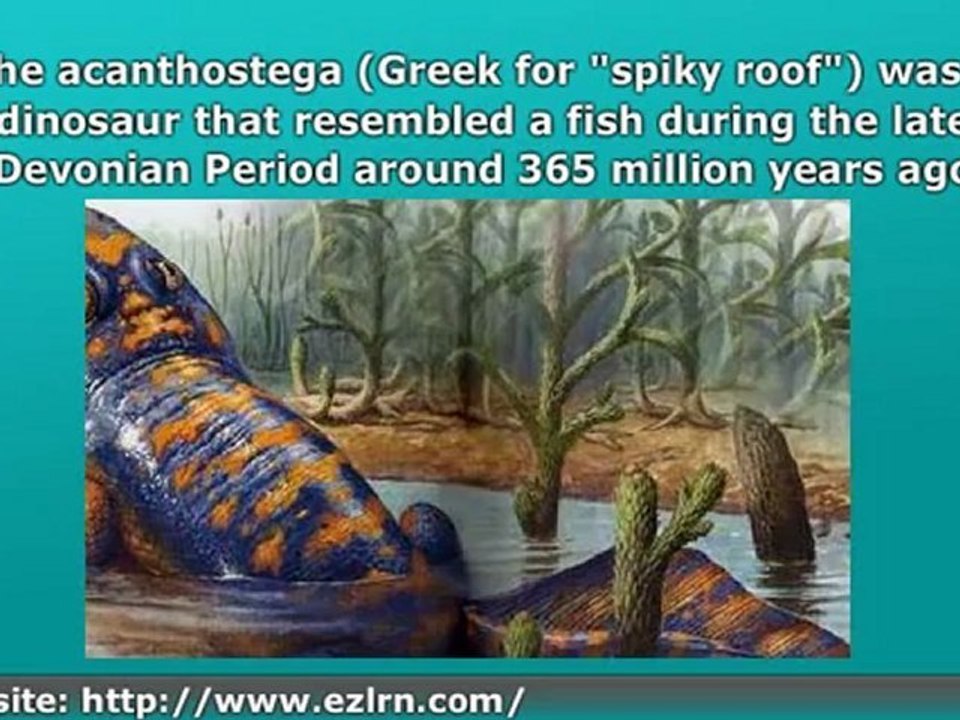 Dinosaur: Acanthostega            Acanthostega