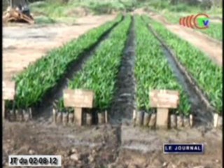 Arrivée du directeur général de l’Onudi à Brazzaville