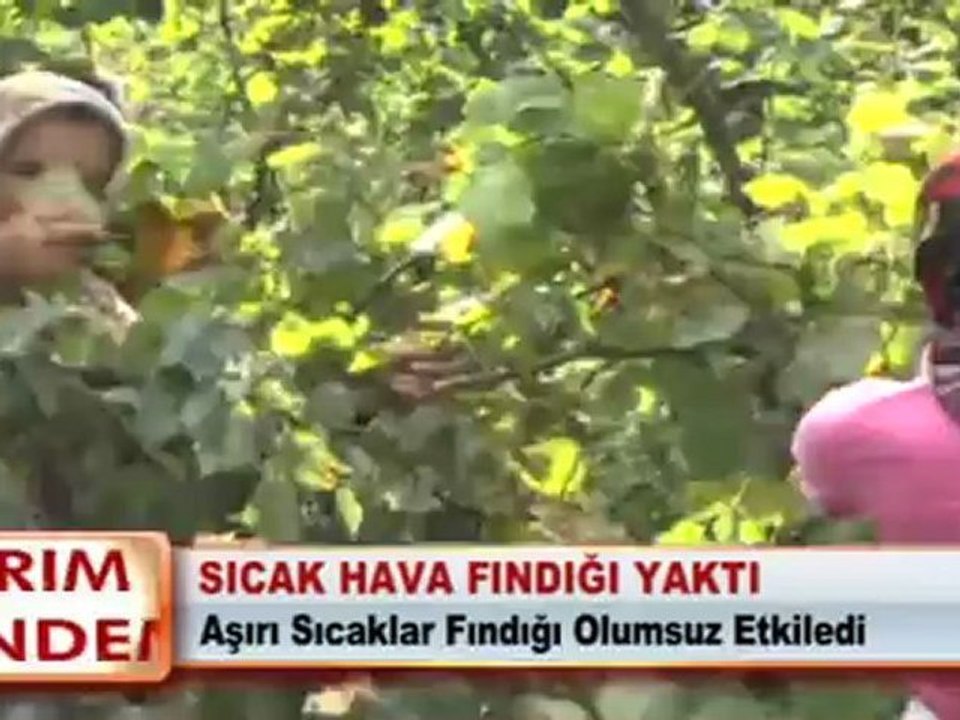 SICAK HAVA FINDIĞI YAKTI