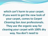 San Jose Carpet Cleaning Services