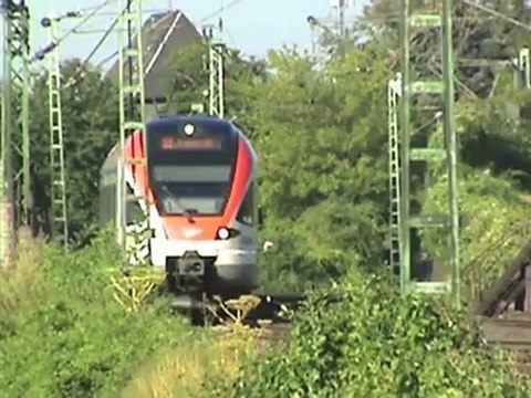 Züge bei Hattenheim am Rhein, ATC BR185, 2x Railion BR185, 3x DBAG BR185, 2x BR427, 3x BR428