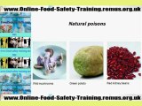 Online Food Safety Training - Video 1 - Food Hygeine Courses