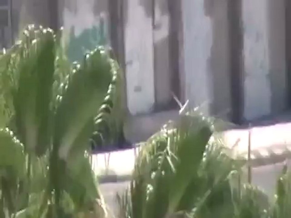 Syria فري برس حماة  المحتلة طريق حلب القديم انتشار الأمن في الحي   2 8 2012 Hama