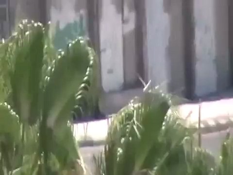 Syria فري برس حماة المحتلة طريق حلب القديم انتشار الأمن في الحي 2 8 2012 Hama