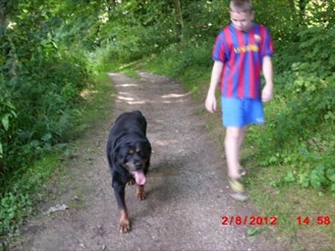 PACHA 2 AOUT 2012 POUR PT PIERRE