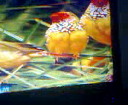 Bảo dưỡng điều hòa tại nhà 0914 112 226