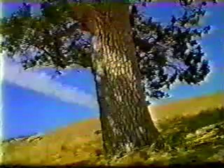 1/29/1995 Super Bowl XXIX Commercial Break #17