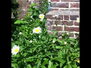 Des mots au bord du vide