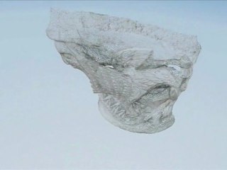 Numérisation 3D d'oeuvre d'art - géométrie simplifiée - chapiteau sculpté